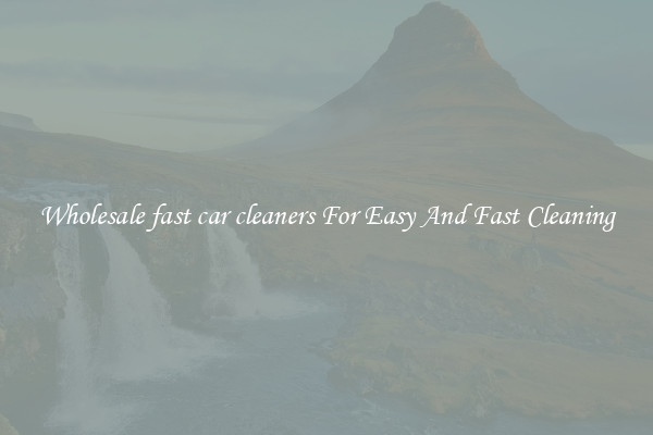 Wholesale fast car cleaners For Easy And Fast Cleaning