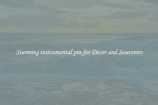 Stunning instrumental pin for Decor and Souvenirs