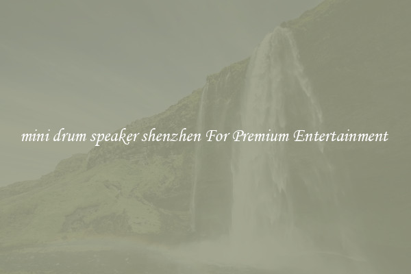 mini drum speaker shenzhen For Premium Entertainment 