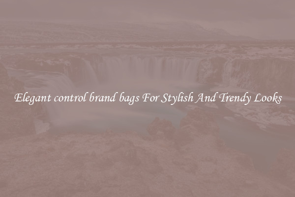 Elegant control brand bags For Stylish And Trendy Looks