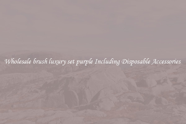 Wholesale brush luxury set purple Including Disposable Accessories 