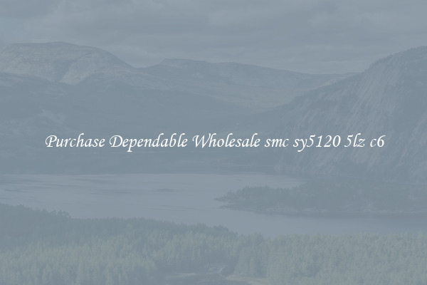 Purchase Dependable Wholesale smc sy5120 5lz c6