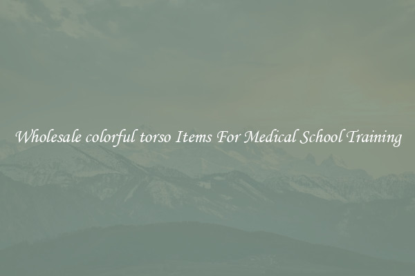 Wholesale colorful torso Items For Medical School Training