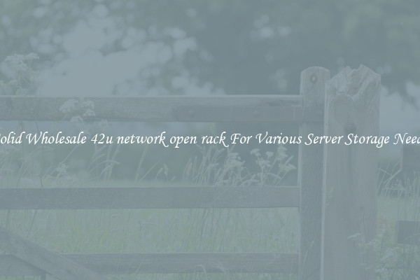 Solid Wholesale 42u network open rack For Various Server Storage Needs