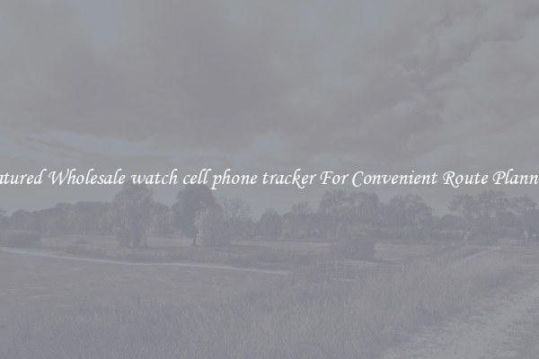 Featured Wholesale watch cell phone tracker For Convenient Route Planning 