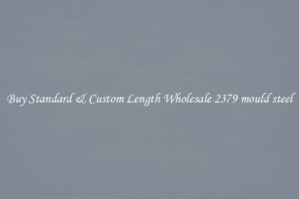 Buy Standard & Custom Length Wholesale 2379 mould steel