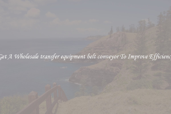 Get A Wholesale transfer equipment belt conveyor To Improve Efficiency