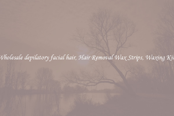 Wholesale depilatory facial hair, Hair Removal Wax Strips, Waxing Kits