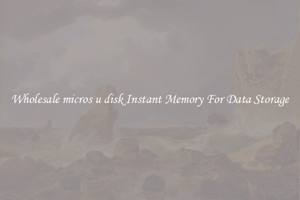 Wholesale micros u disk Instant Memory For Data Storage