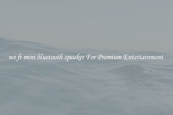 wi fi mini bluetooth speaker For Premium Entertainment 