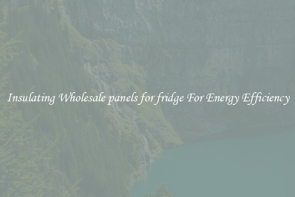 Insulating Wholesale panels for fridge For Energy Efficiency