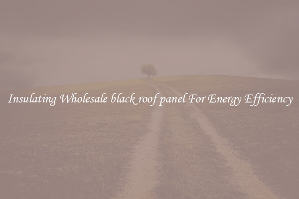 Insulating Wholesale black roof panel For Energy Efficiency