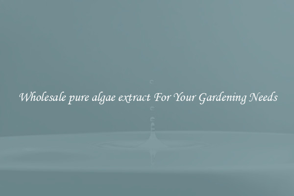Wholesale pure algae extract For Your Gardening Needs