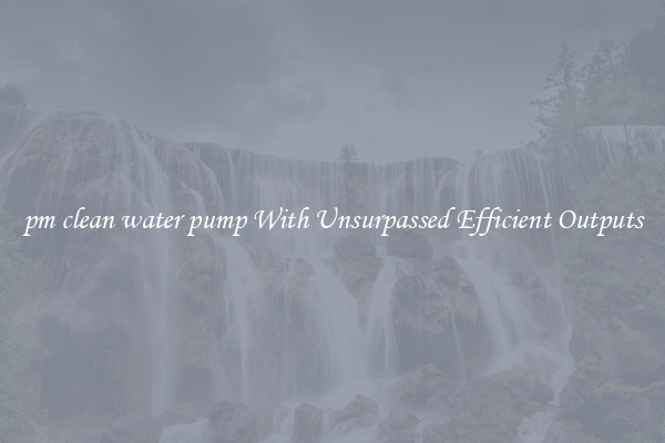 pm clean water pump With Unsurpassed Efficient Outputs