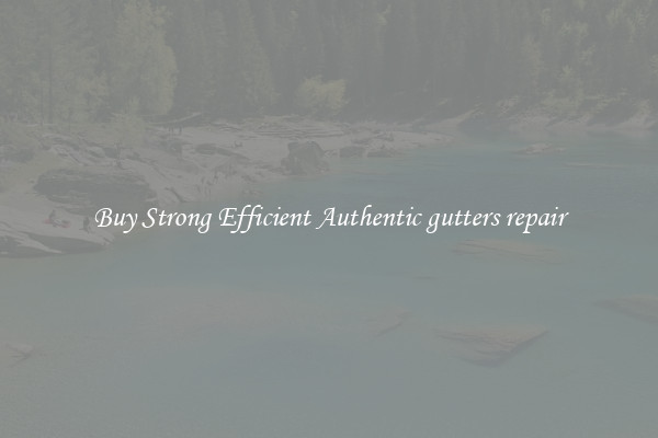 Buy Strong Efficient Authentic gutters repair