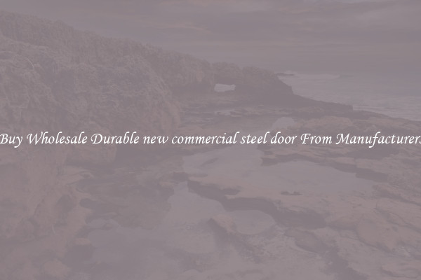 Buy Wholesale Durable new commercial steel door From Manufacturers