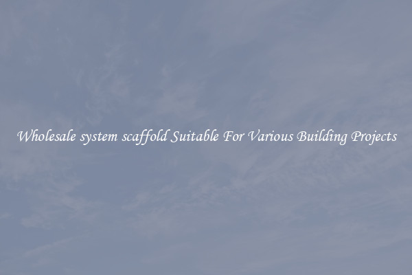 Wholesale system scaffold Suitable For Various Building Projects