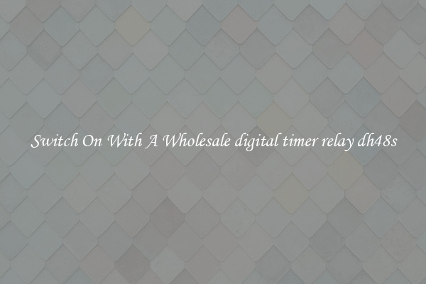 Switch On With A Wholesale digital timer relay dh48s