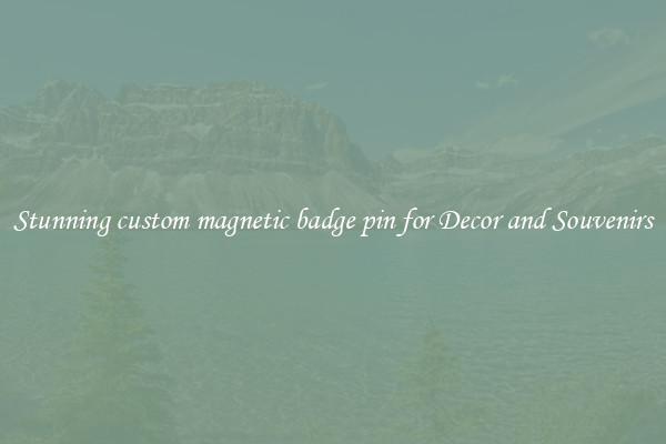 Stunning custom magnetic badge pin for Decor and Souvenirs